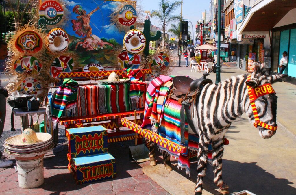 What to Do in Tijuana for the Day?