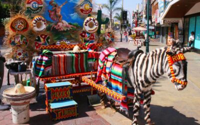 What to Do in Tijuana for the Day?